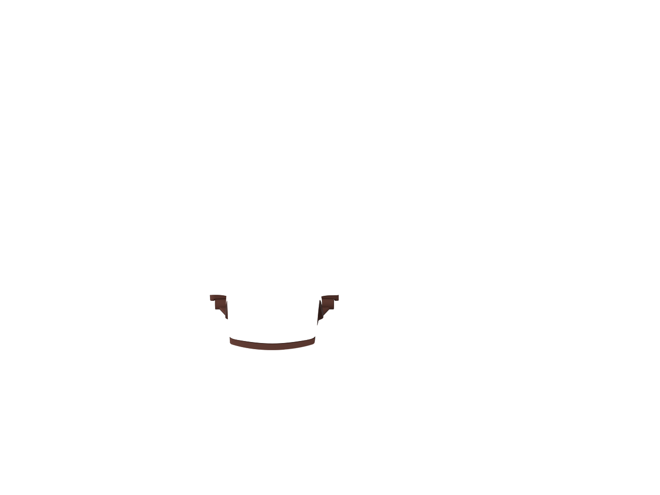 RAL 8017
