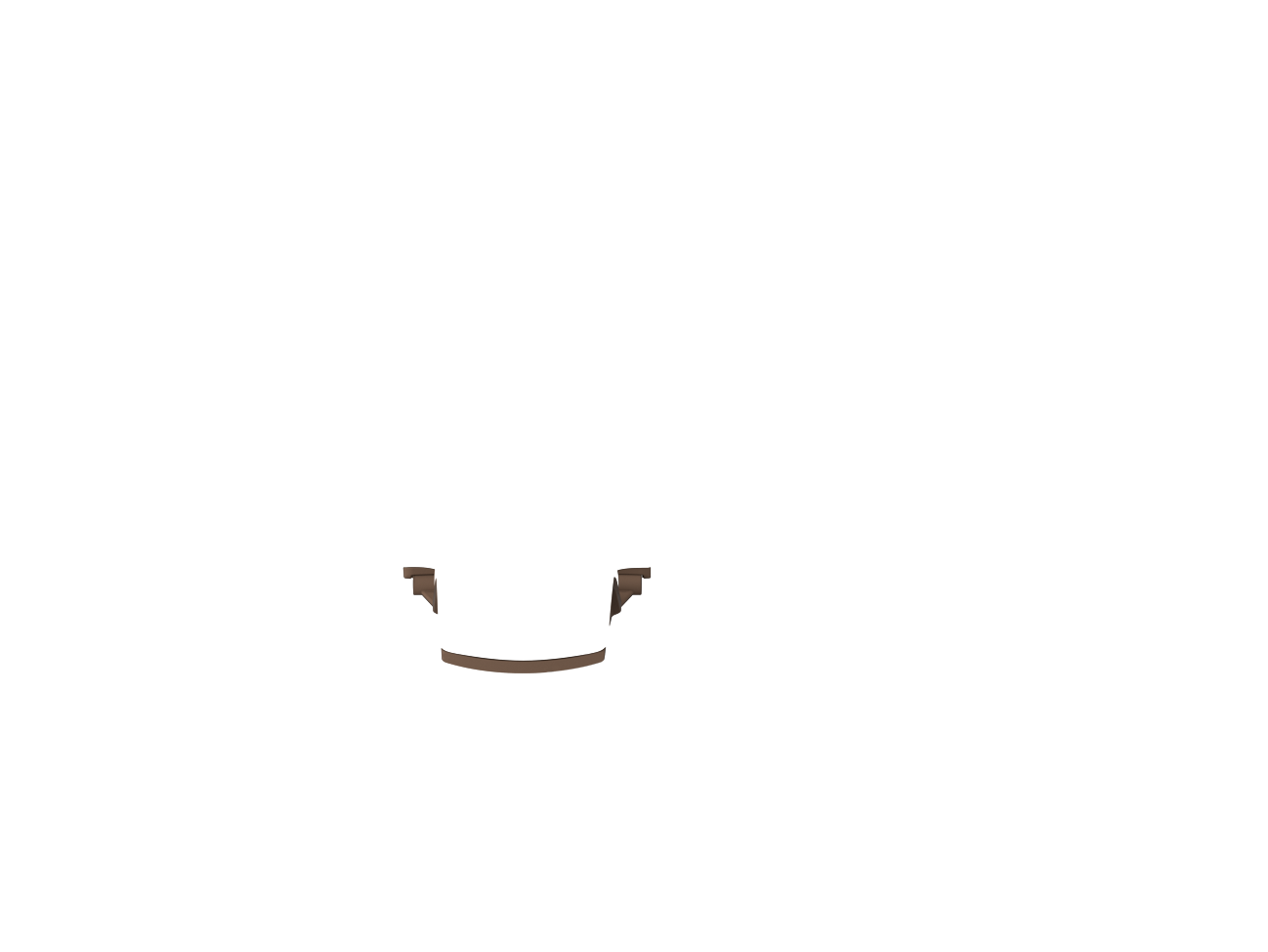 RAL 8025