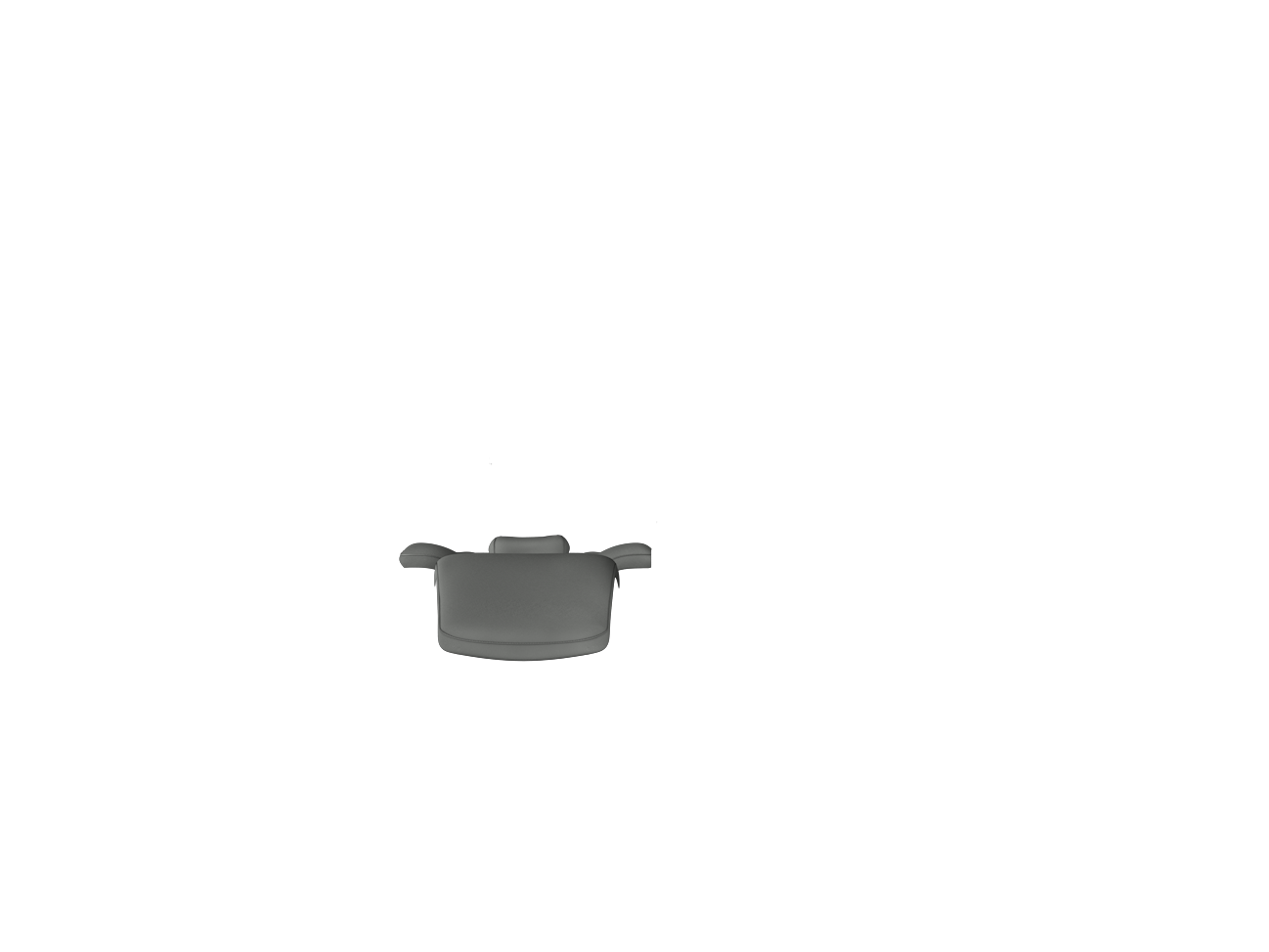 RAL 7005