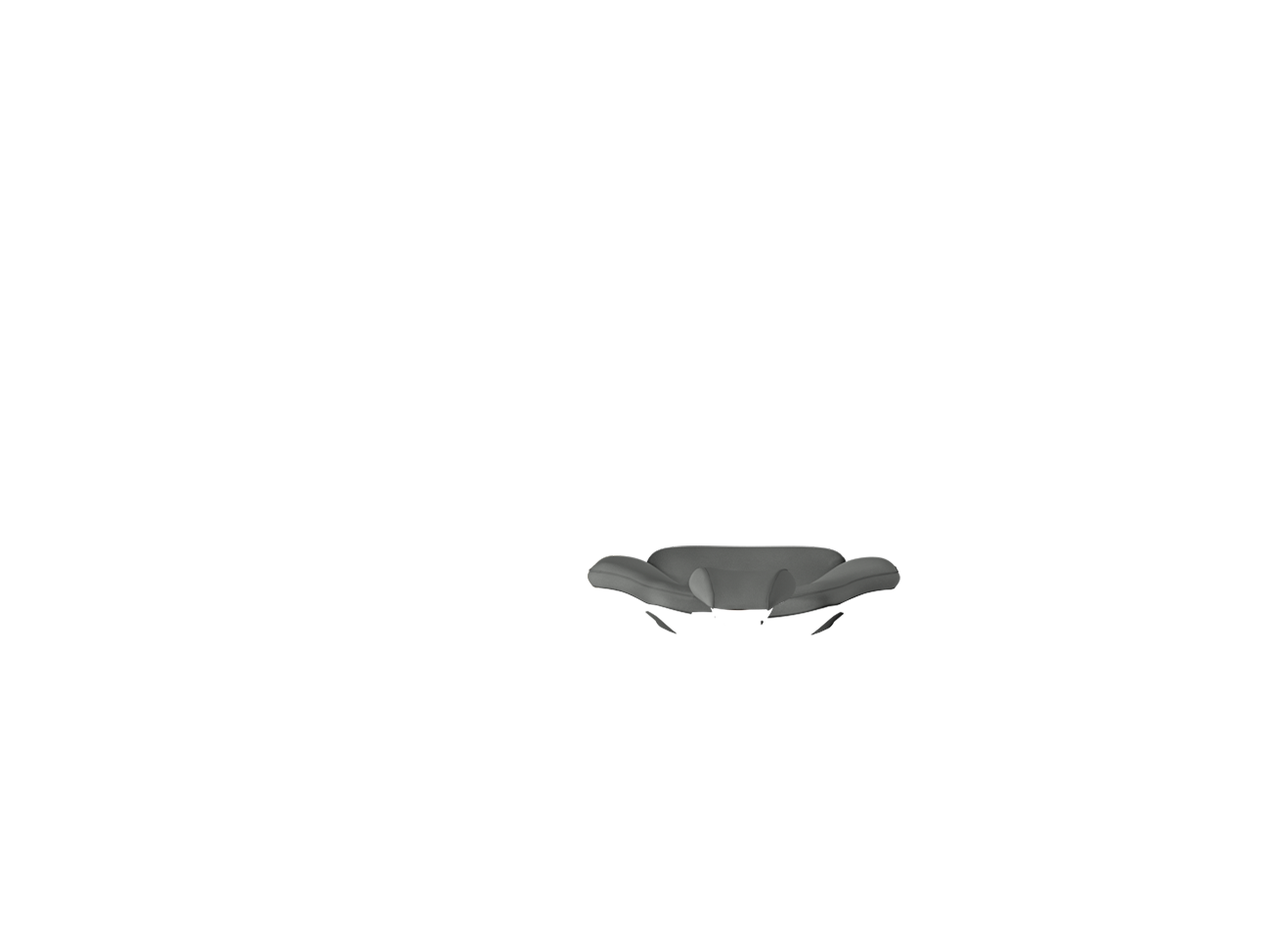 RAL 7005